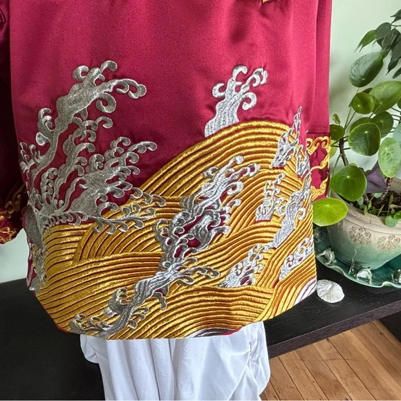 Embroidered Dragon Tunic - Picture 5 of 7